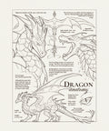 Dragon Anatomy - A4 print
