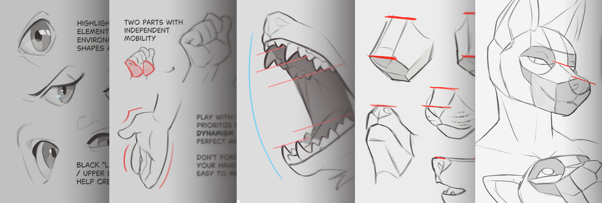 Libro Tutorial